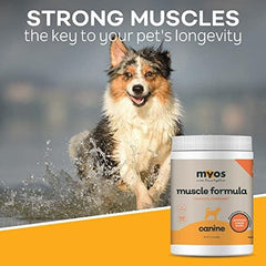 MYOS Canine Muscle Formula vertido sobre comida y mejora la aceptación