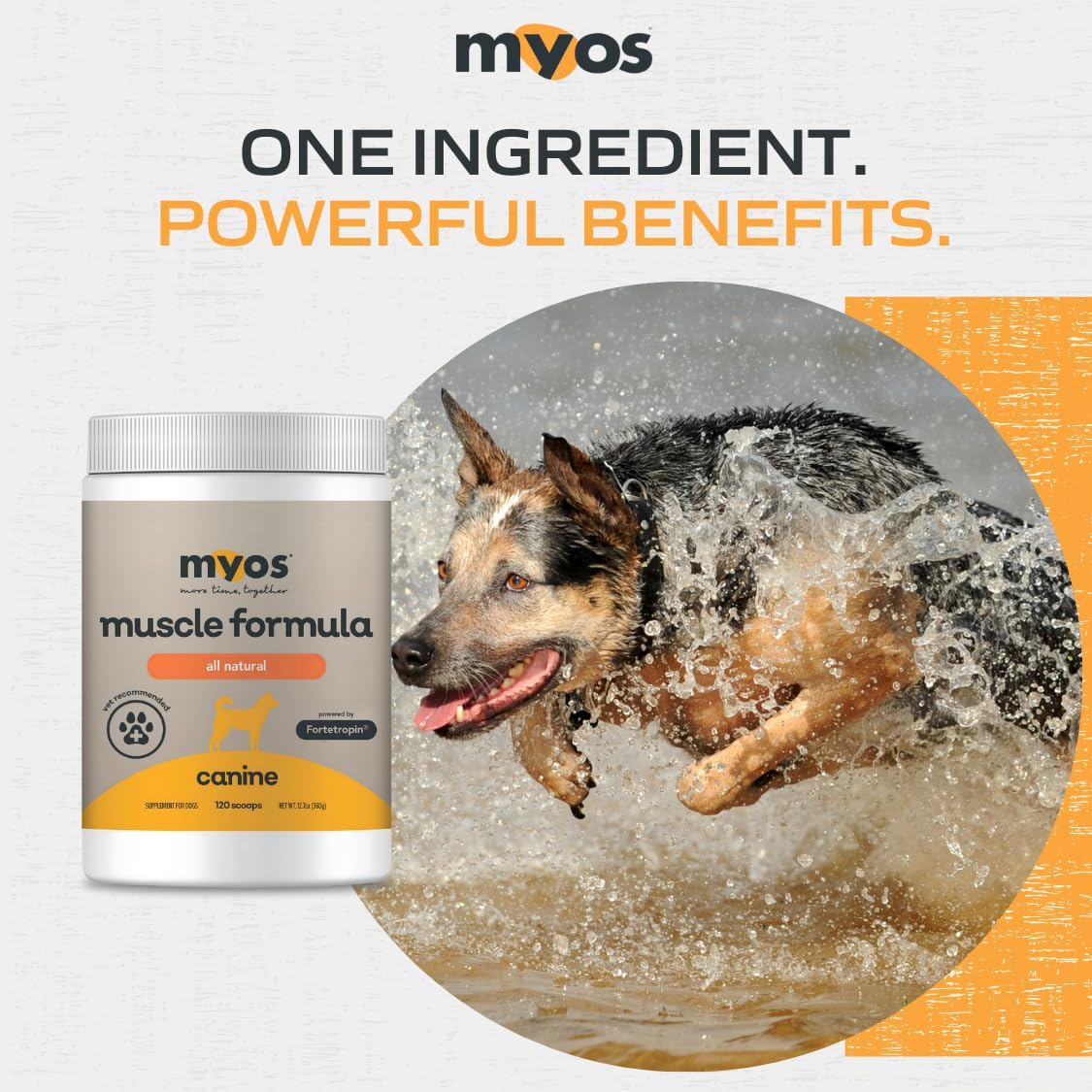 MYOS Canine Muscle Formula bote guardado en nevera para conservar frescura