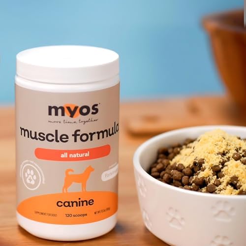 MYOS Canine Muscle Formula perro senior en movimiento gracias a soporte muscular