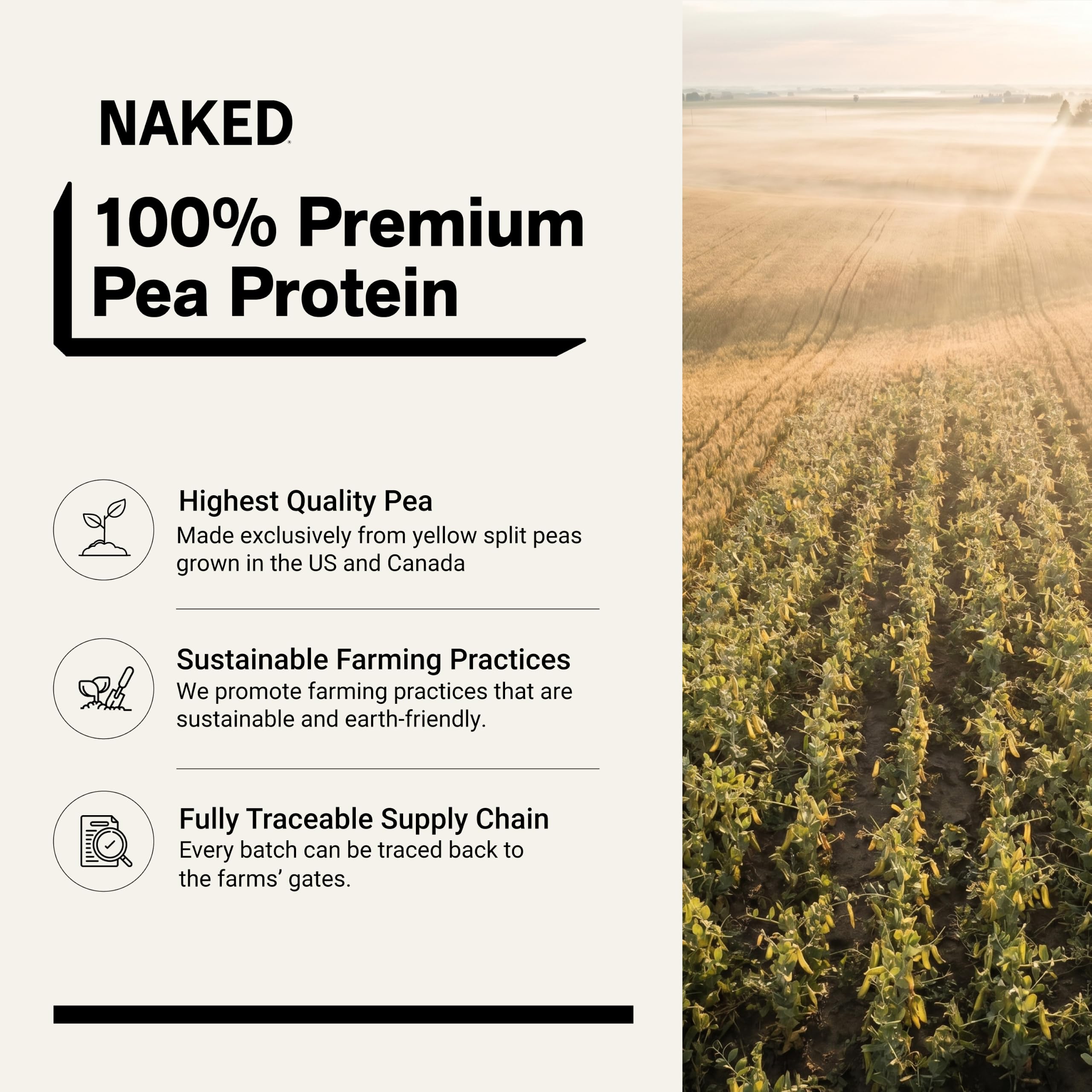 NAKED Pea textura del polvo en primer plano para mezclar fácilmente