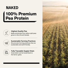 NAKED Pea textura del polvo en primer plano para mezclar fácilmente