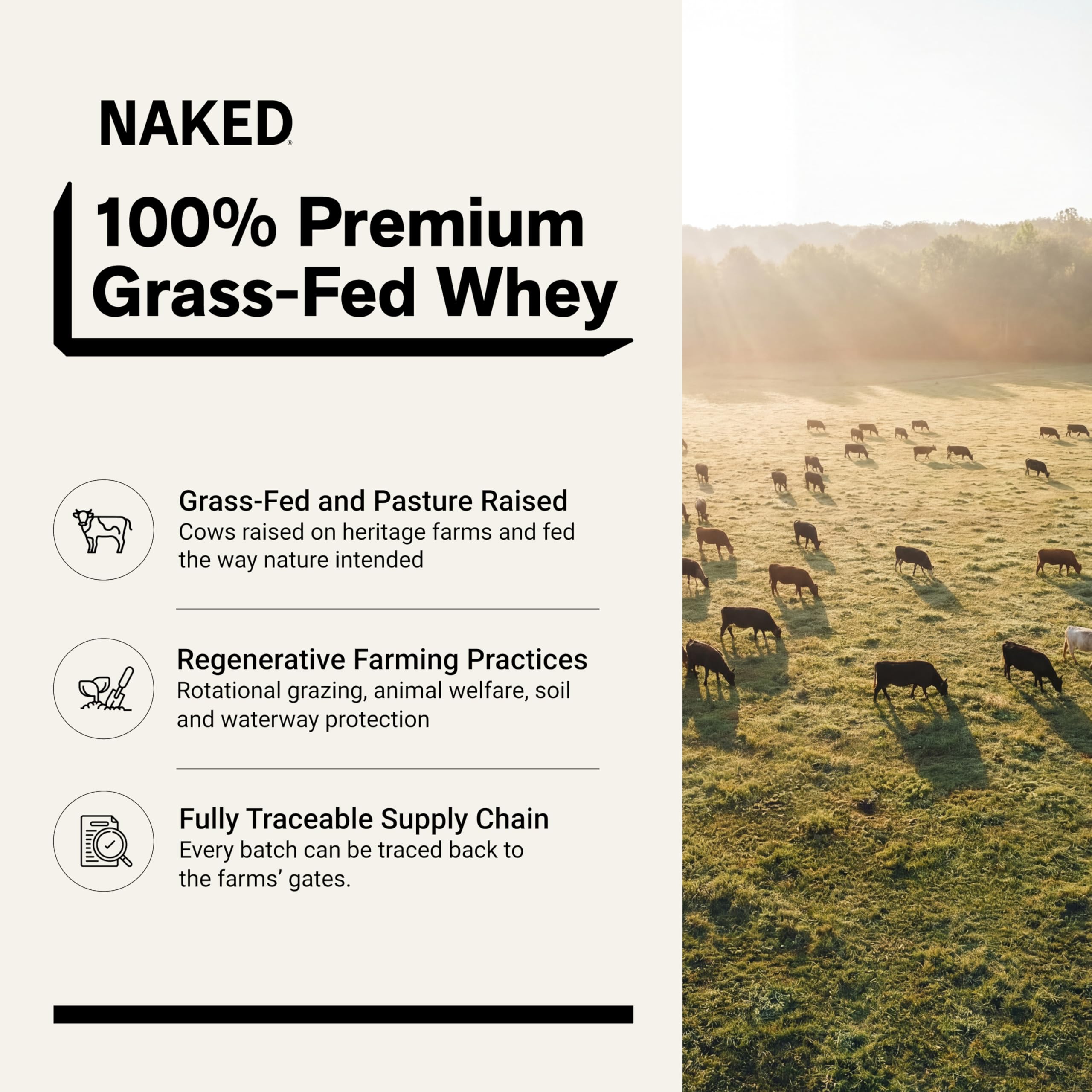 NAKED Whey primer plano del polvo que resalta su textura fina