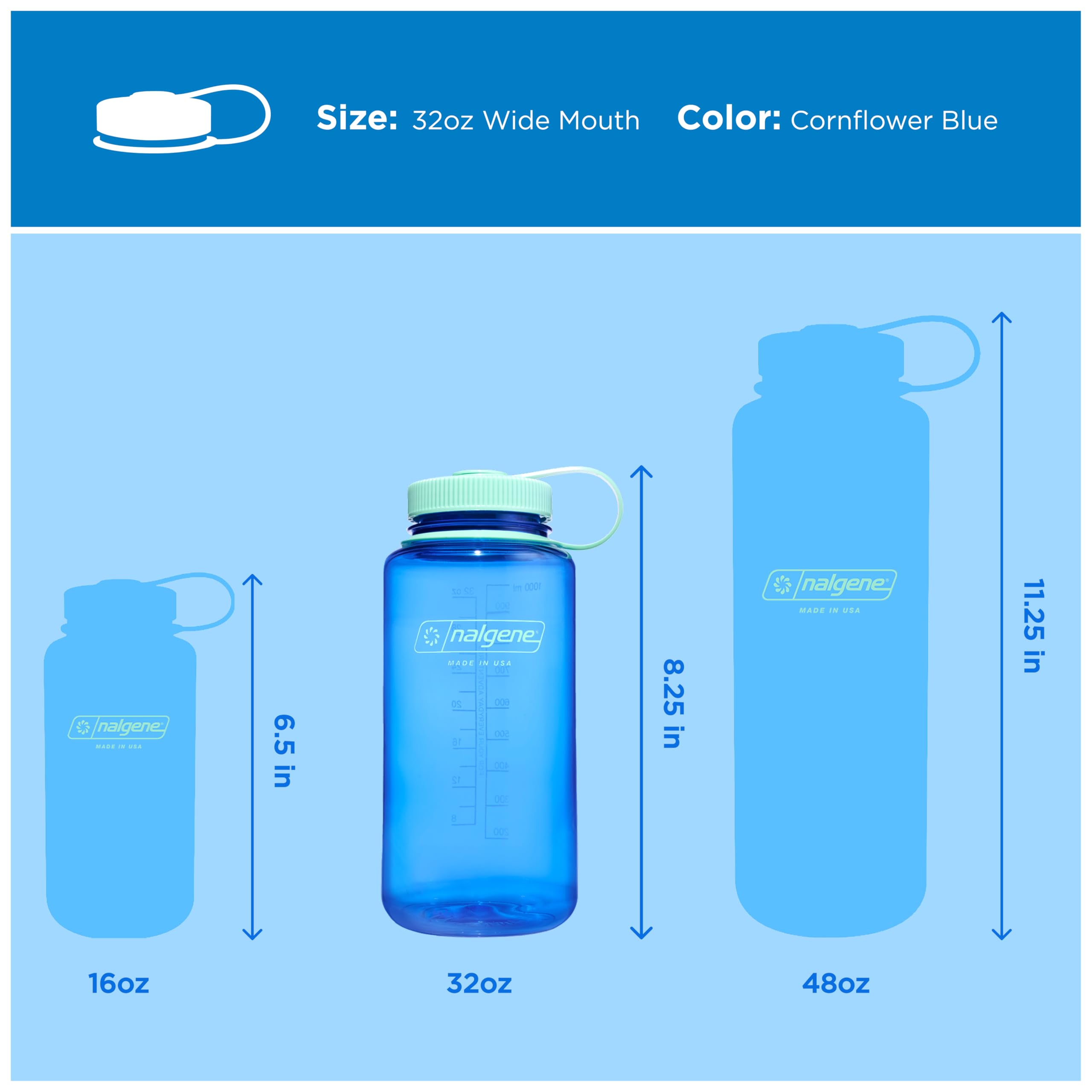 Nalgene botella cornflower comparación de tamaño 1 litro junto a objetos cotidianos