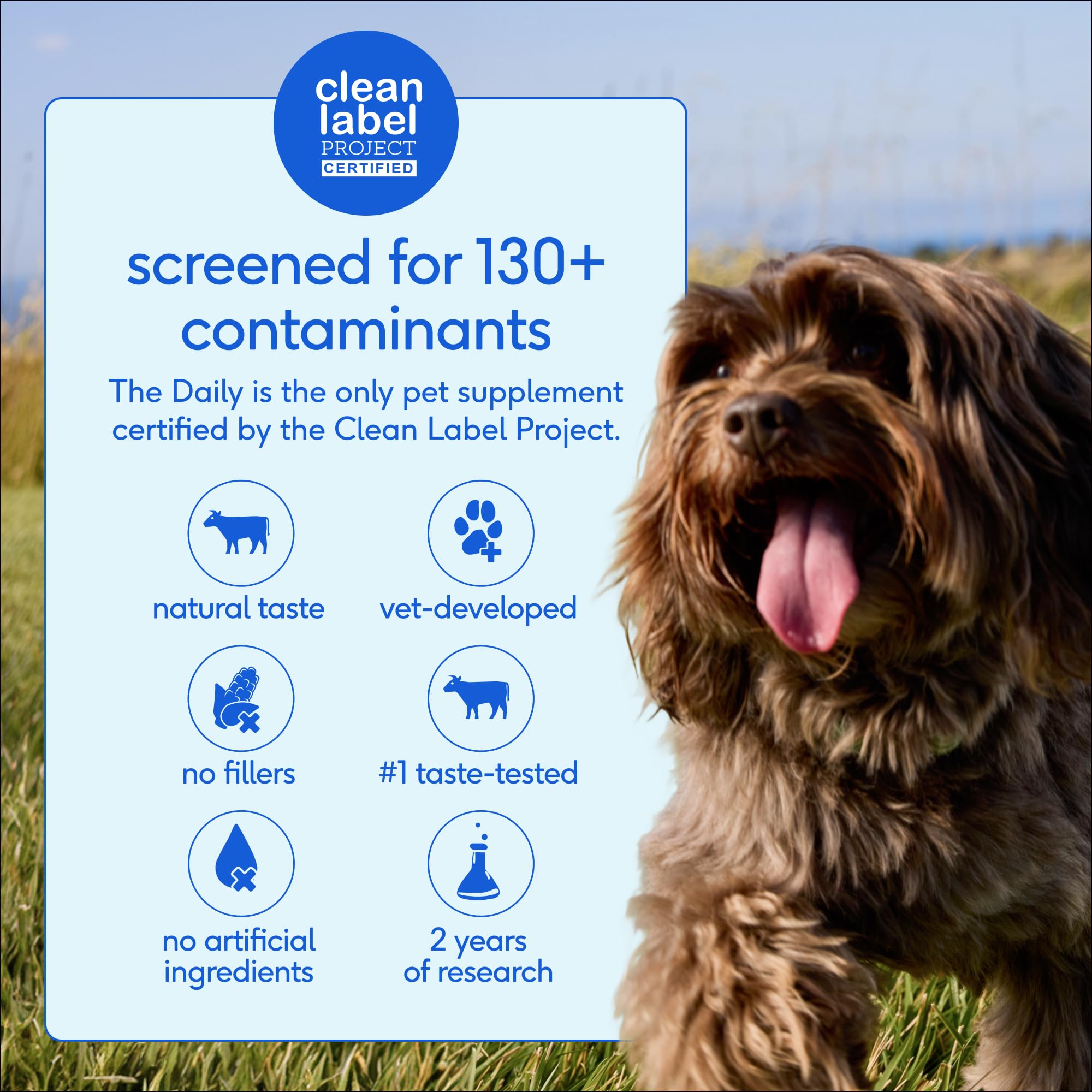 Native Pet perro activo en exterior tras uso, apoyo a movilidad y energía