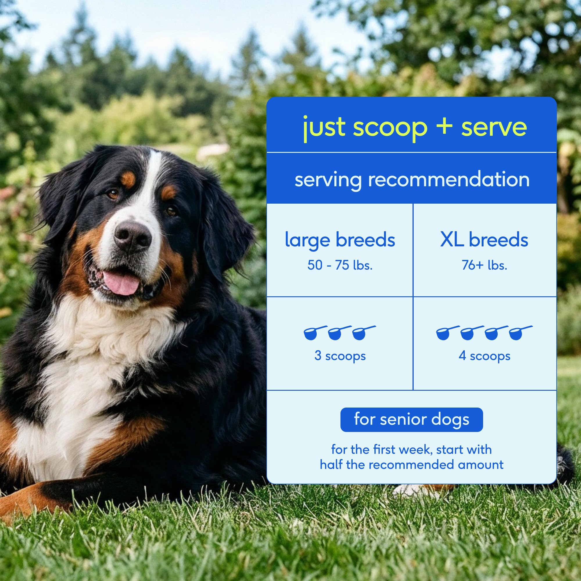 Native Pet etiqueta con instrucciones de uso y certificado veterinario