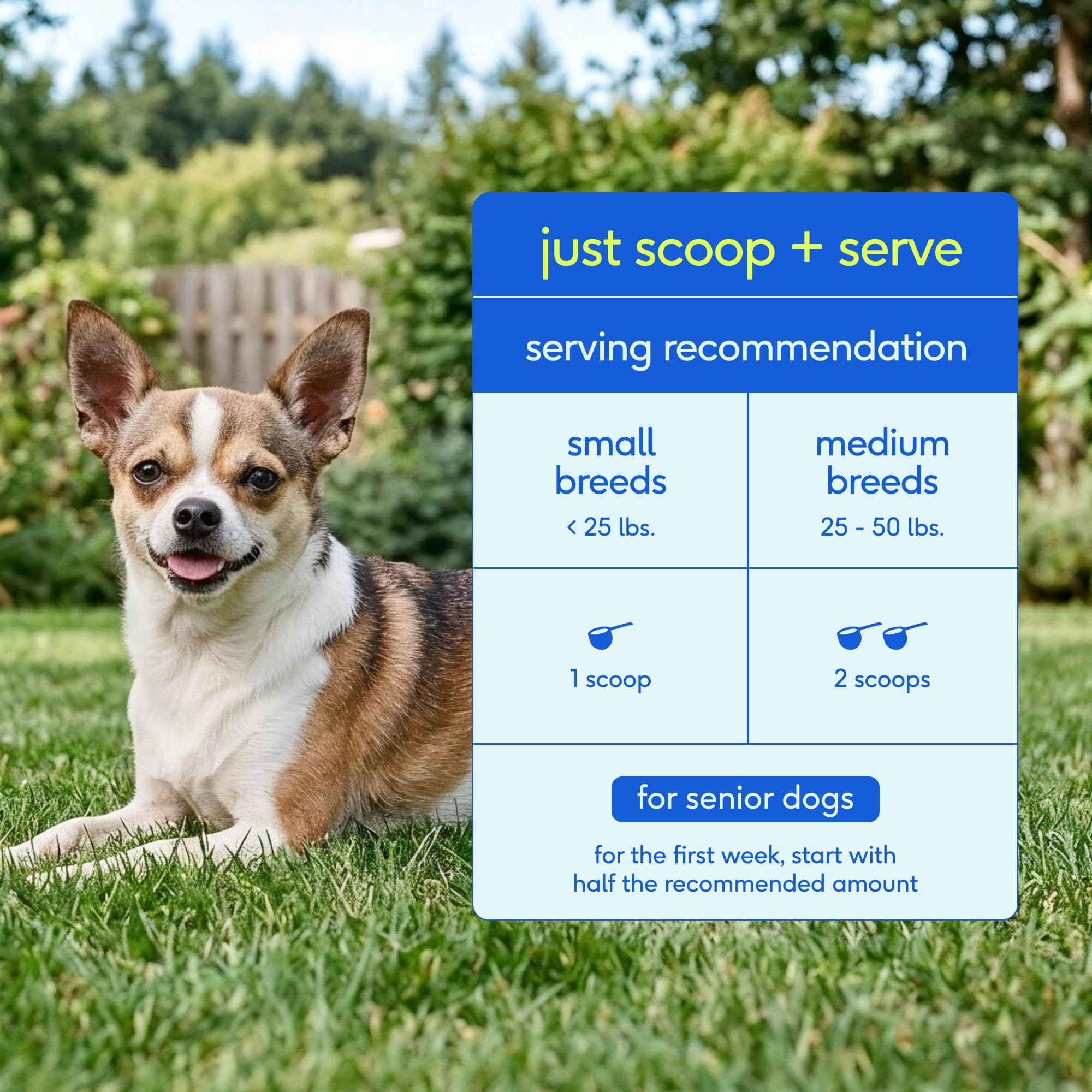Native Pet ingredientes clave presentados para soporte articular y digestivo