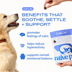Native Pet primer plano de la textura air-dried que conserva ingredientes activos