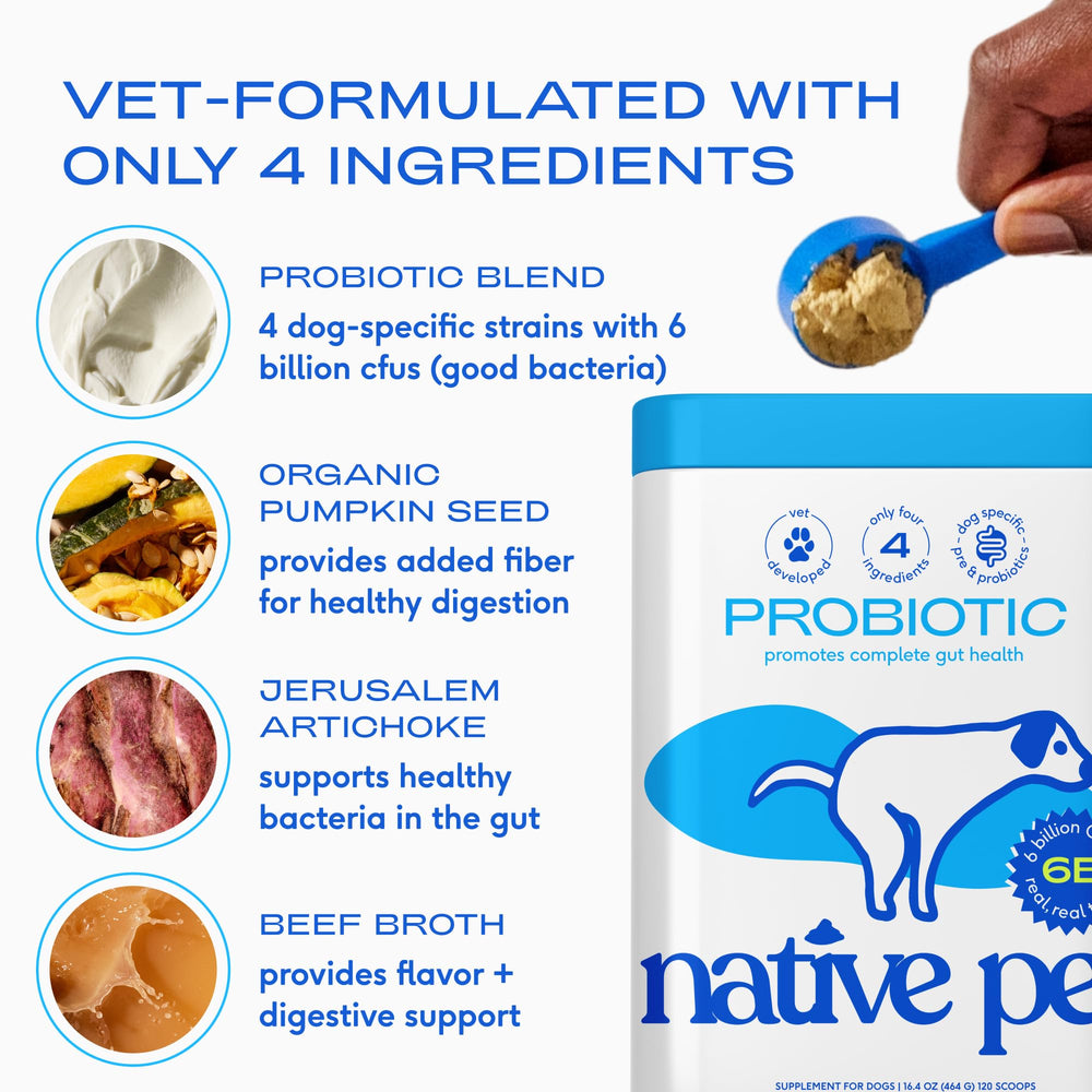 Native Pet polvo mezclado en pienso seco sin cambiar sabor