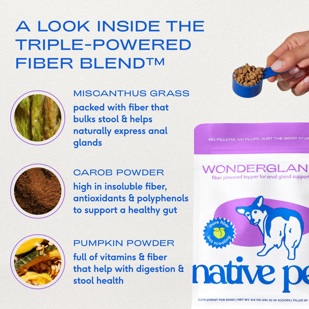 Native Pet perro comiendo con mejor digestión y menos irritación anal