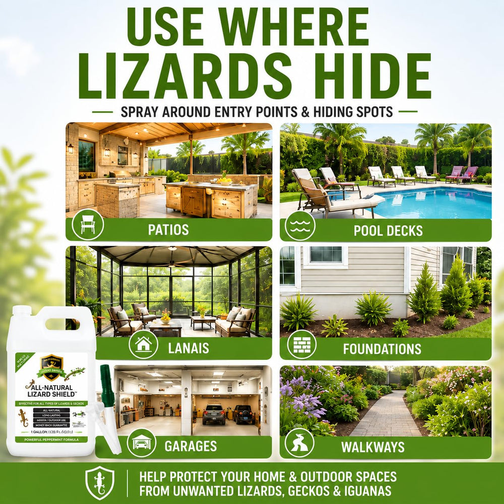 Natural Armor aplicando en patio junto a puertas para crear barrera contra gecos y iguanas