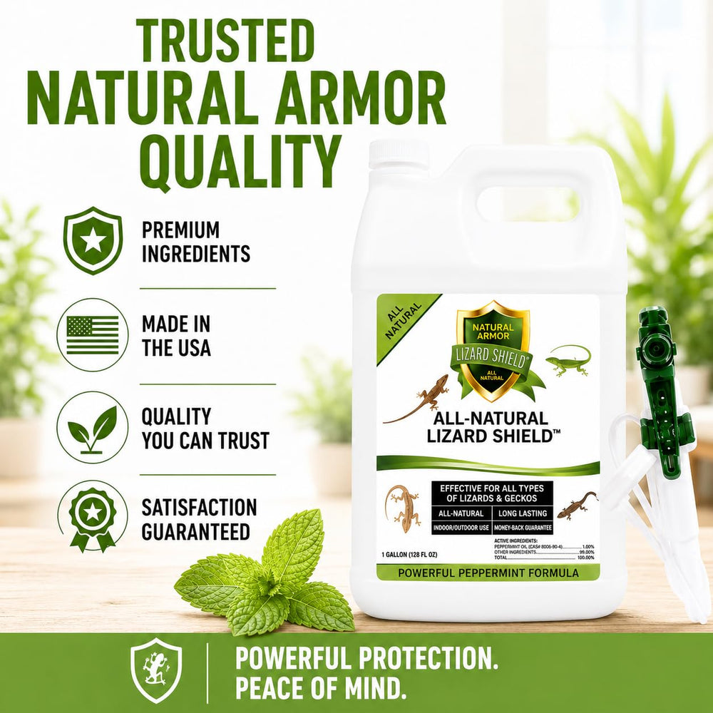 Natural Armor escena de terraza limpia y sin reptiles, mostrando beneficio de espacio exterior seguro