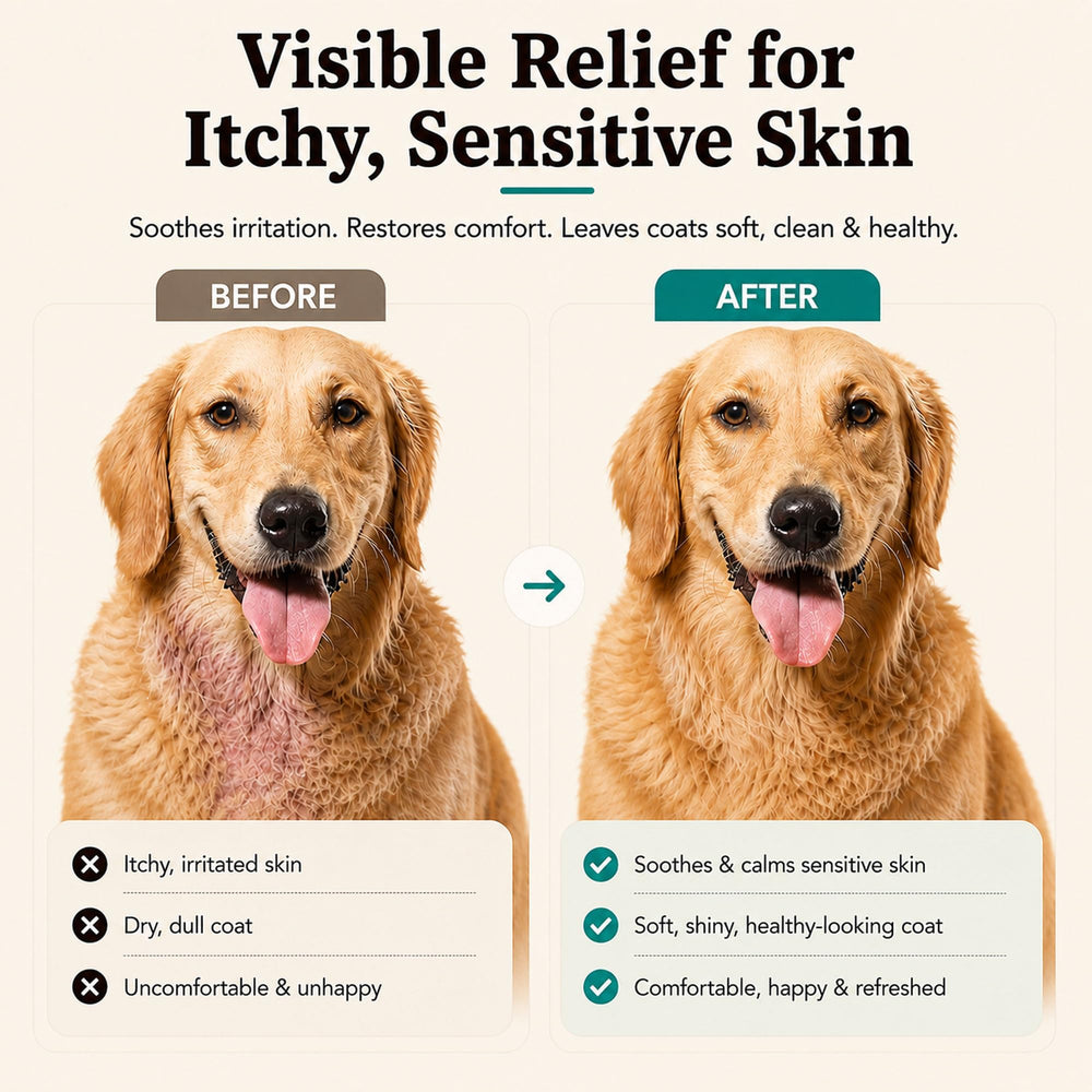 Natural Dog Company cierre y etiqueta legible con ingredientes clave