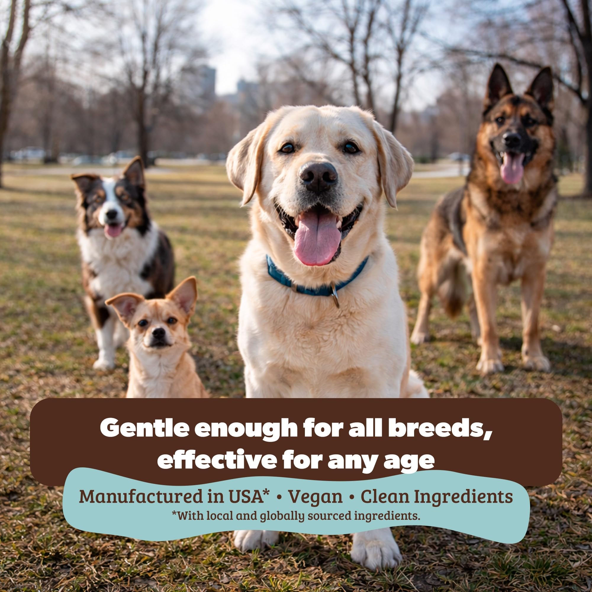Natural Dog Company acercamiento a la crema mostrando consistencia hidratante