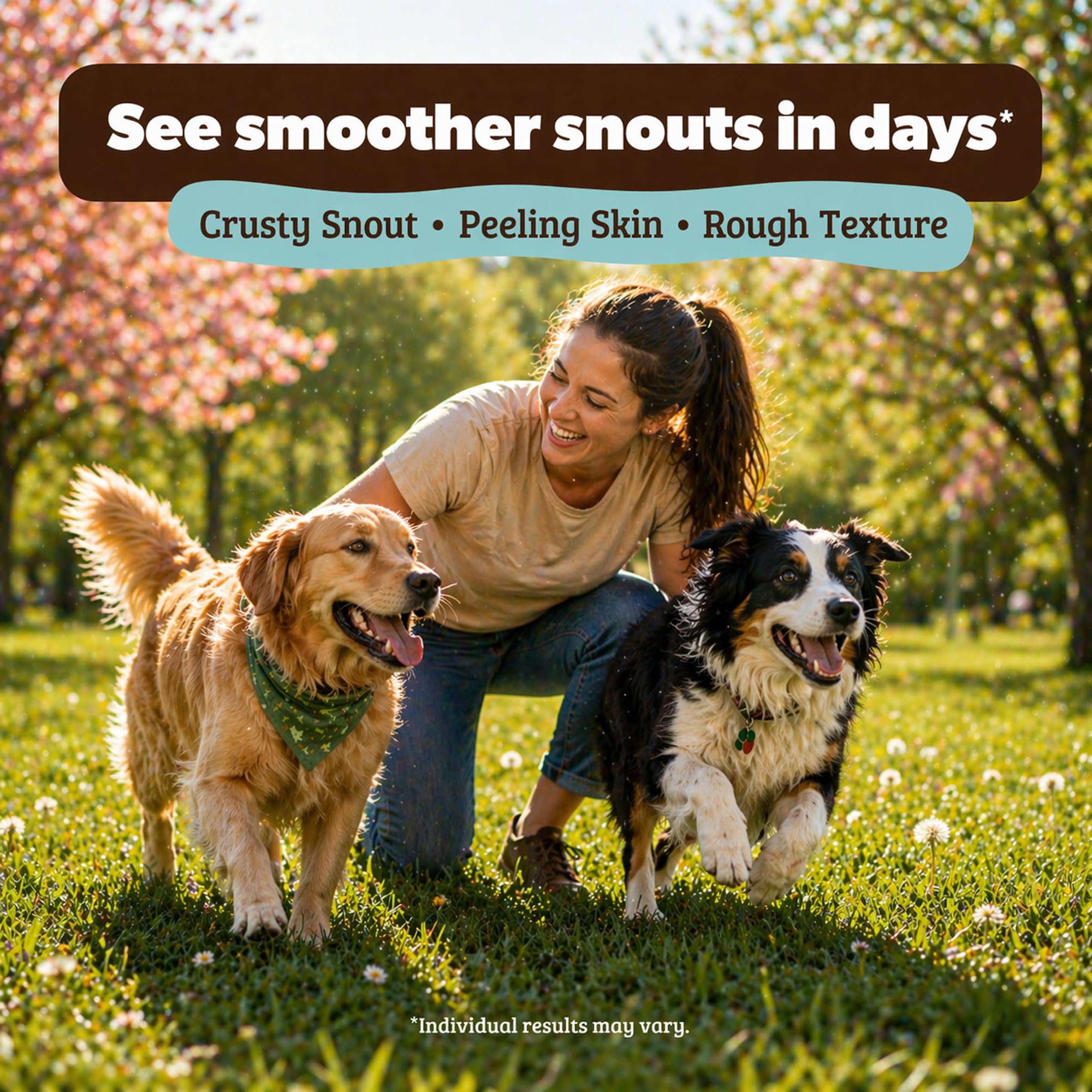 Natural Dog Company empaque y contenido listos para almacenamiento