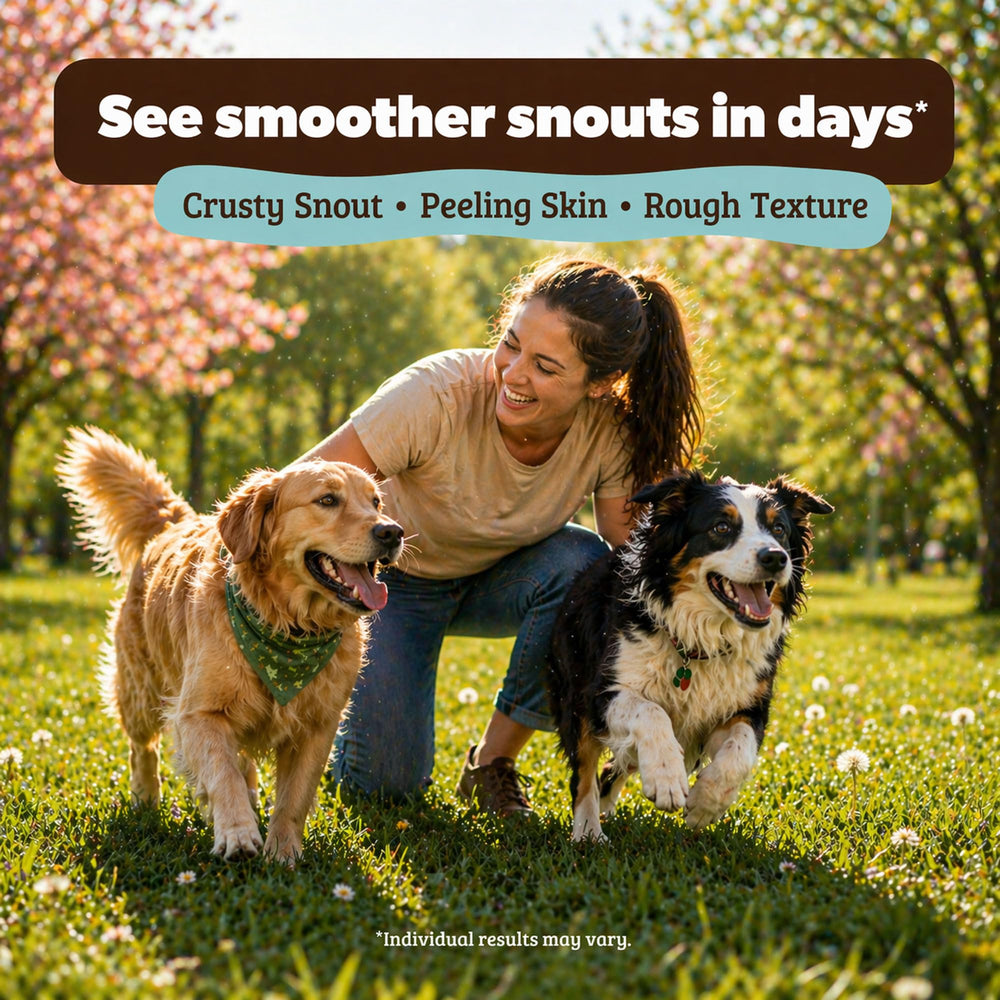 Natural Dog Company empaque y contenido listos para almacenamiento
