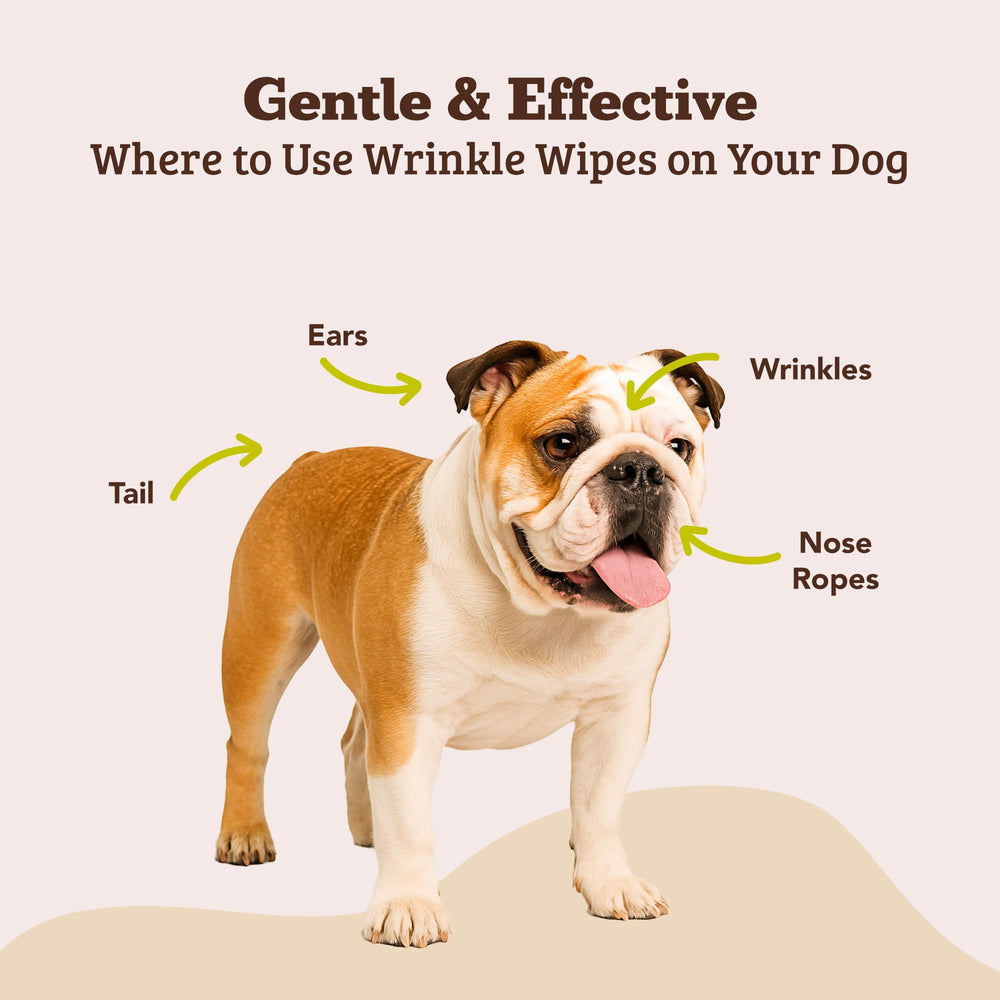 Natural Dog Company etiqueta con ingredientes botánicos destacando beneficios