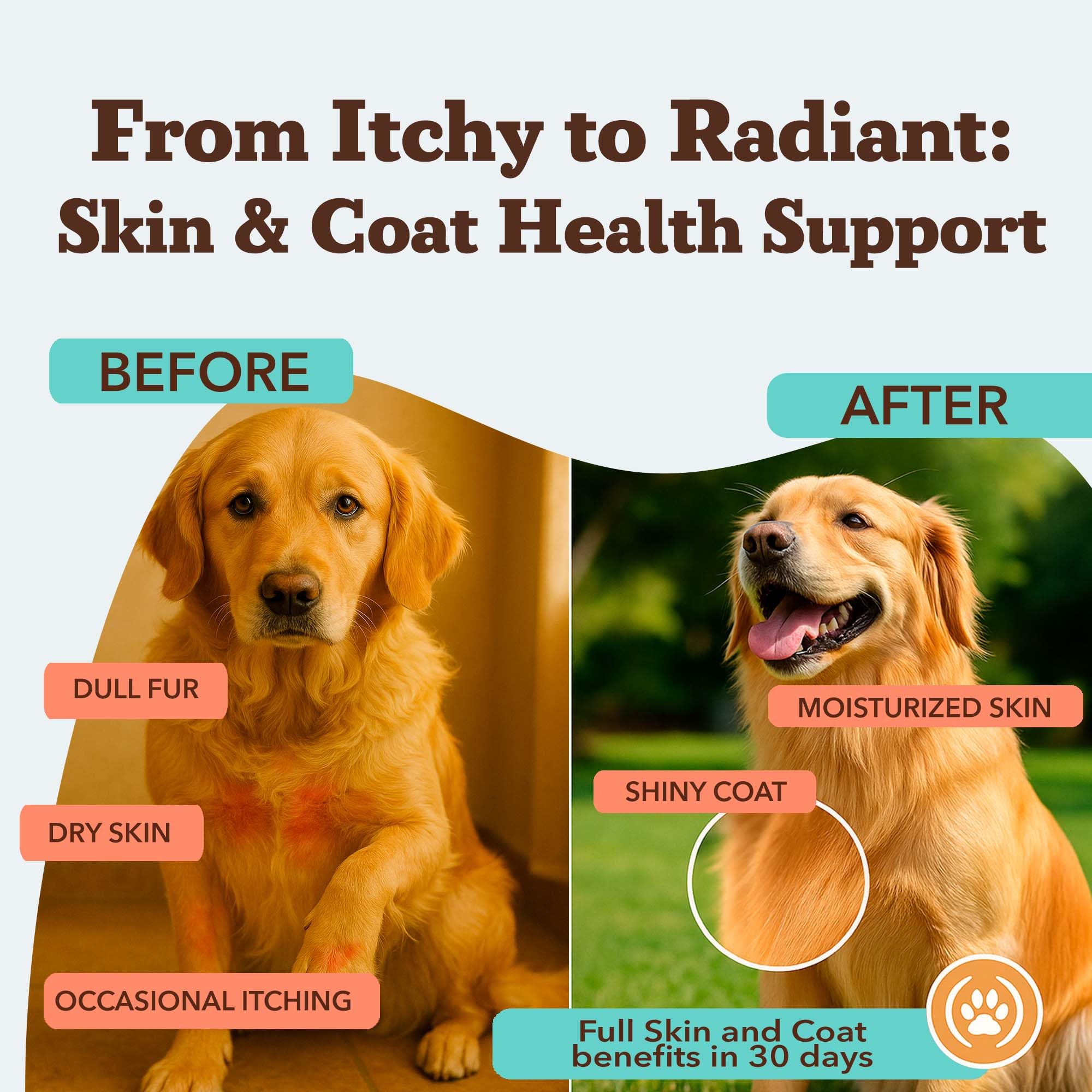 Natural Dog Company primer plano textura del masticable y atractivo sabor