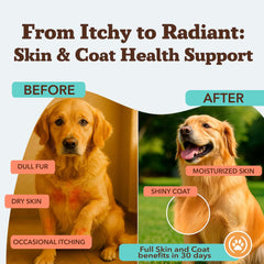 Natural Dog Company primer plano textura del masticable y atractivo sabor