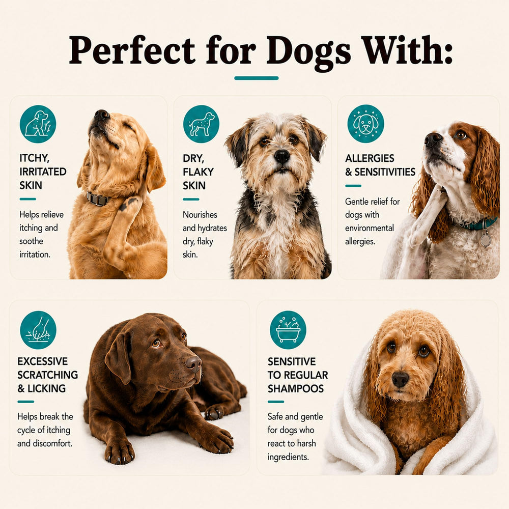 Natural Dog Company pelaje húmedo y suave tras enjuague hidratante