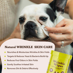 Natural Dog Company limpieza de cara de perro demostrando uso seguro