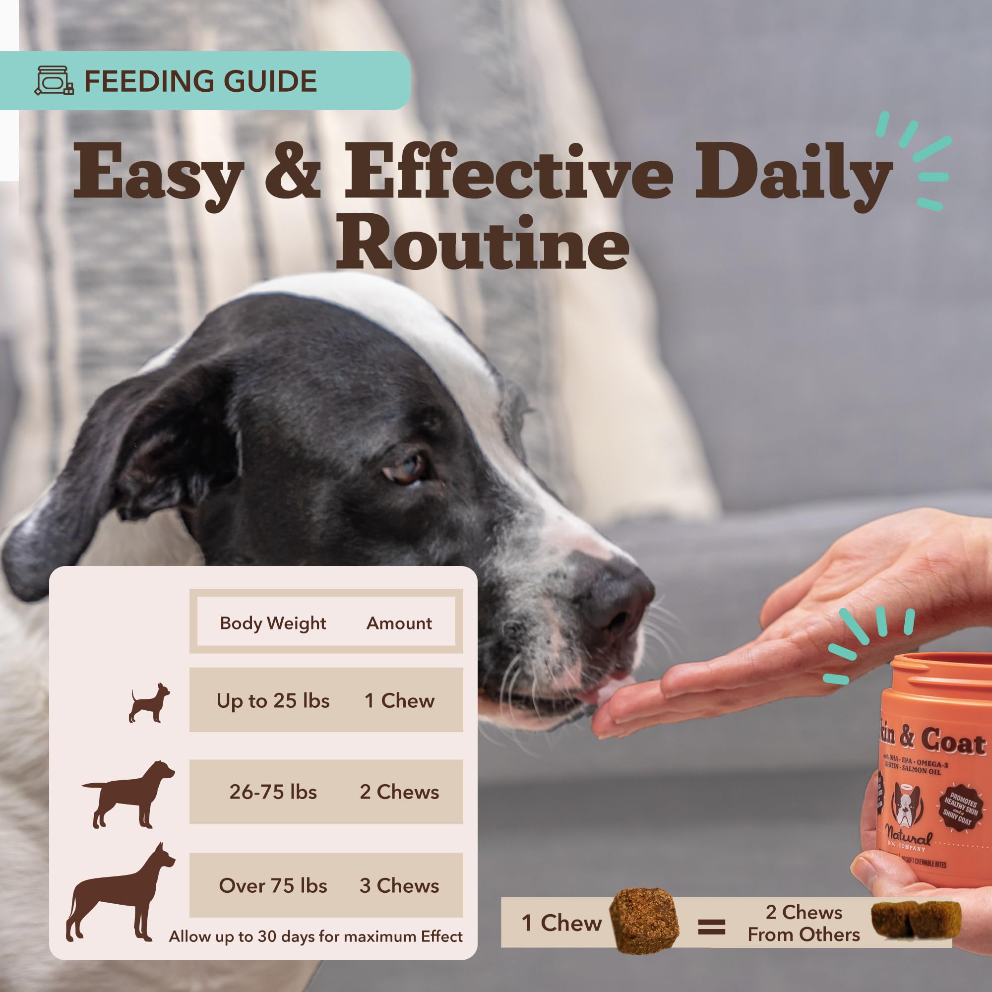 Natural Dog Company masticable junto a moneda para comparar tamaño