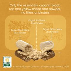 Primer plano de la etiqueta NaturaLife Labs maca con información de 1.900 mg por porción