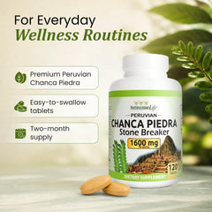NaturalisimoLife hojas de chanca piedra que ilustran origen peruano del ingrediente
