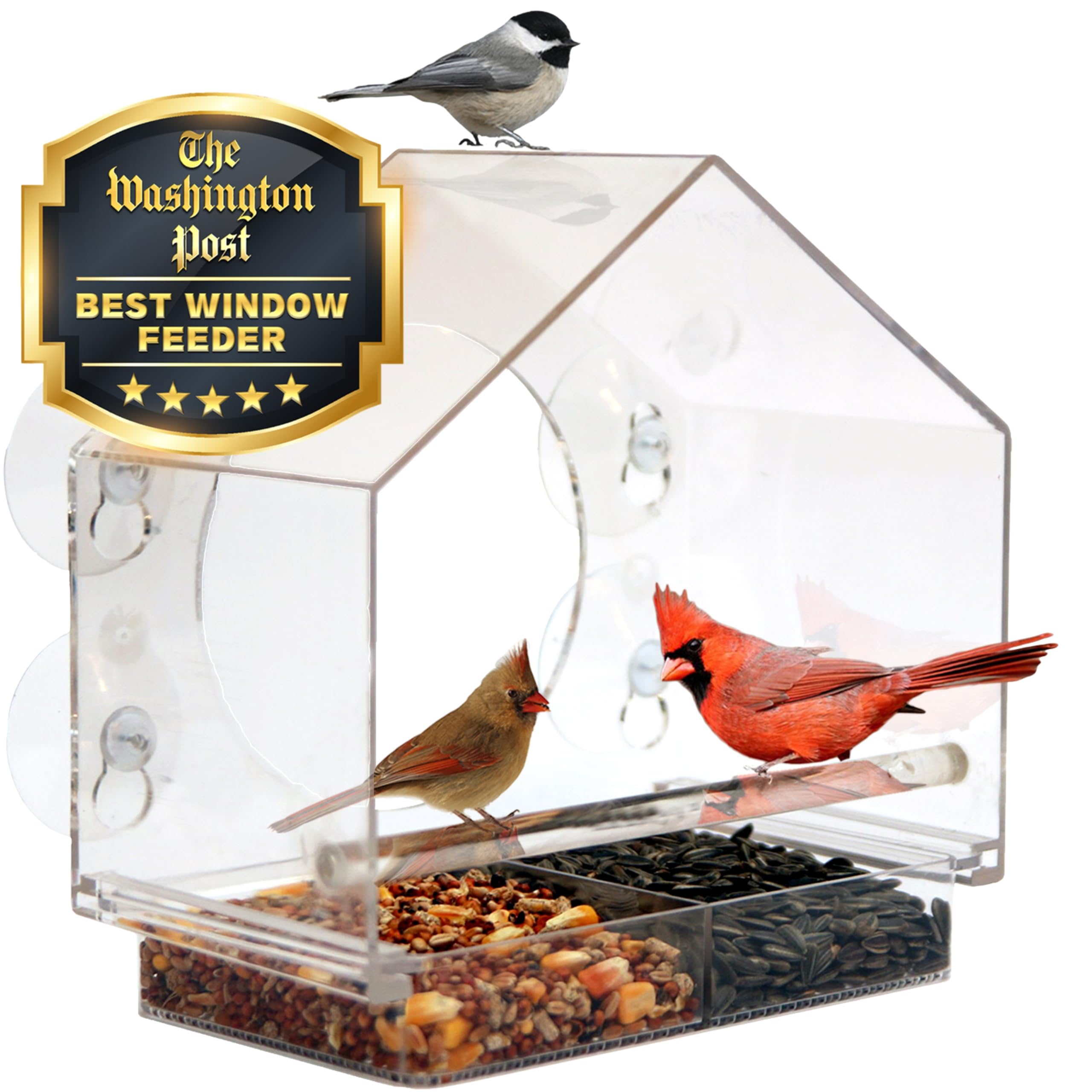 Nature Anywhere front view of the feeder showing clear acrylic and large viewing hole benefit: close-up bird watching