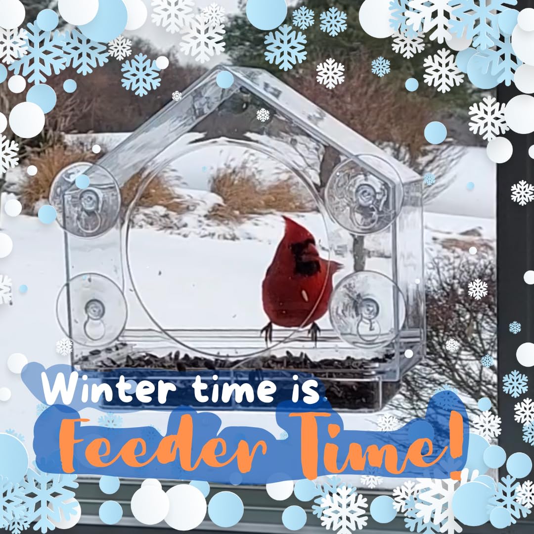 Nature Anywhere feeder visible from a kitchen window with person watching showing beginner-friendly birding benefit