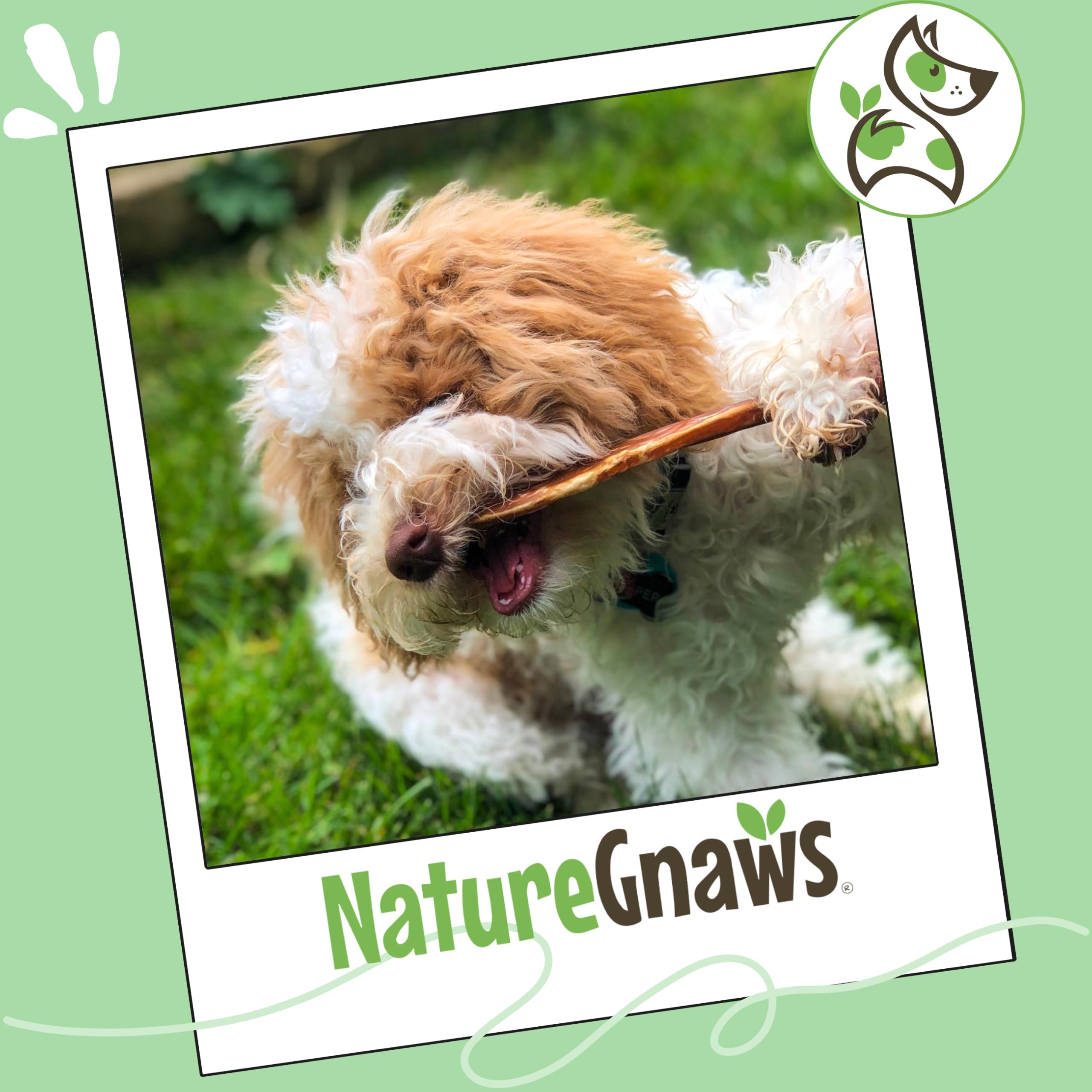 Nature Gnaws comparación con rawhide, beneficio: menos residuos y menor olor