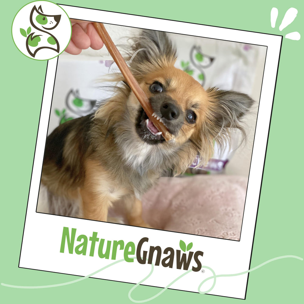 Nature Gnaws etiqueta de producto con ingredientes, beneficio: solo pizzle de res