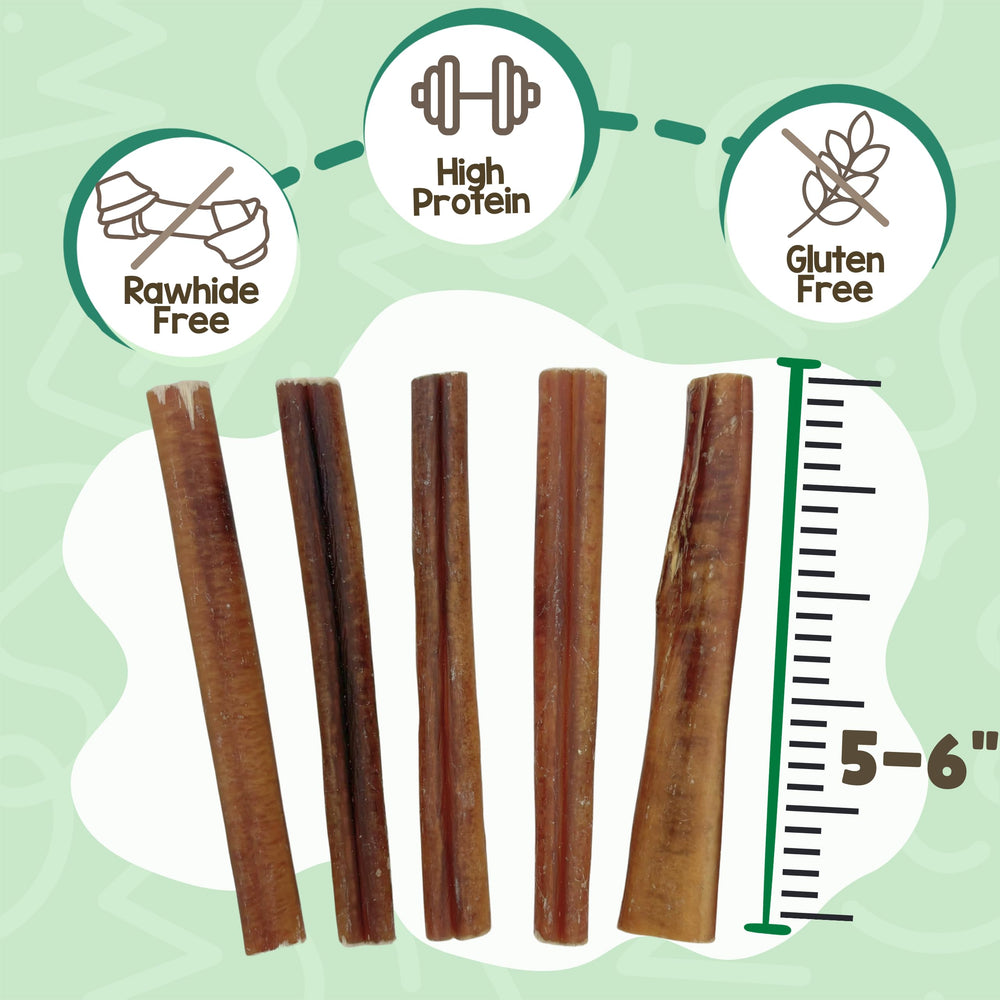 Nature Gnaws textura gruesa del bully stick que muestra resistencia al masticar