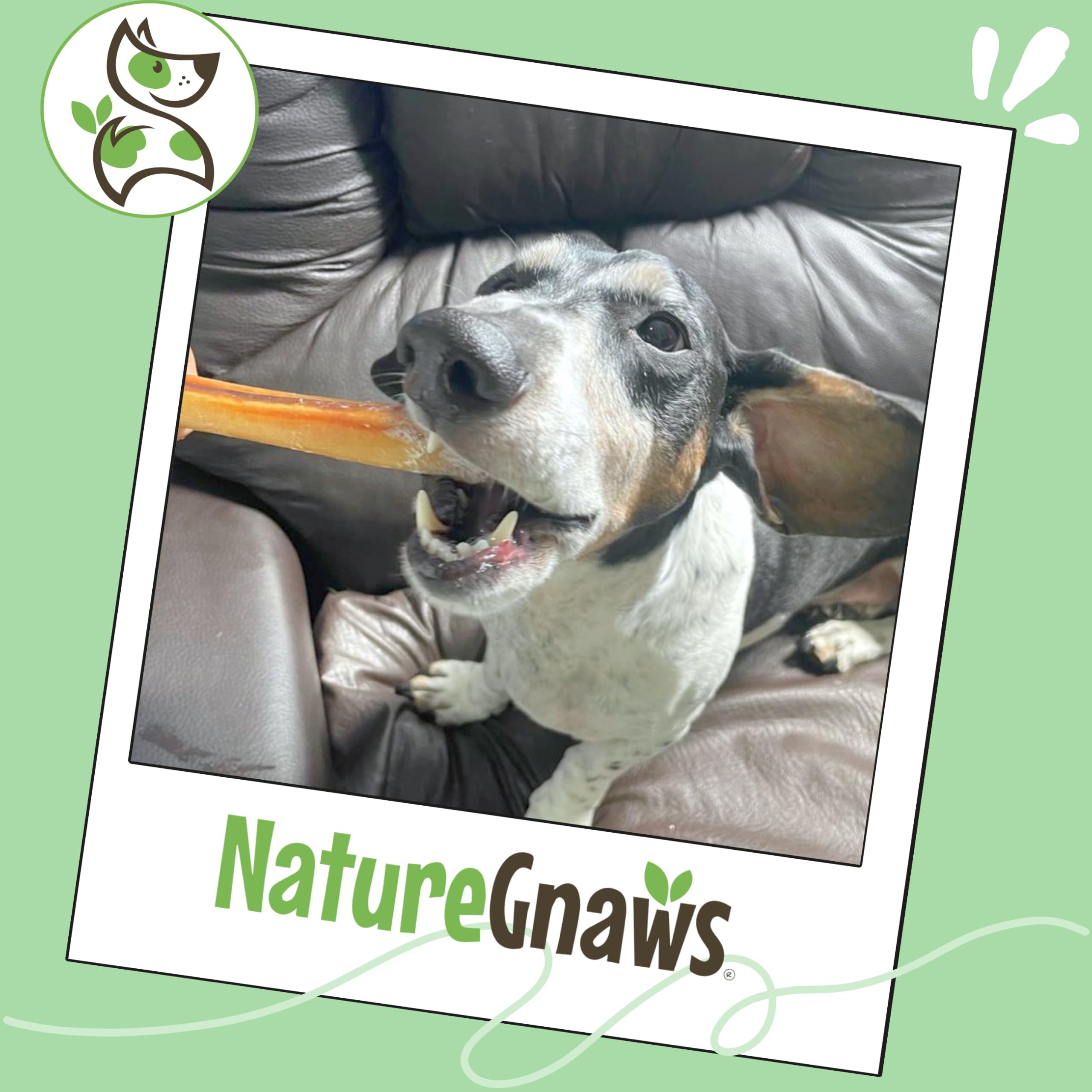 Nature Gnaws paquete abierto con bully sticks, fácil almacenamiento