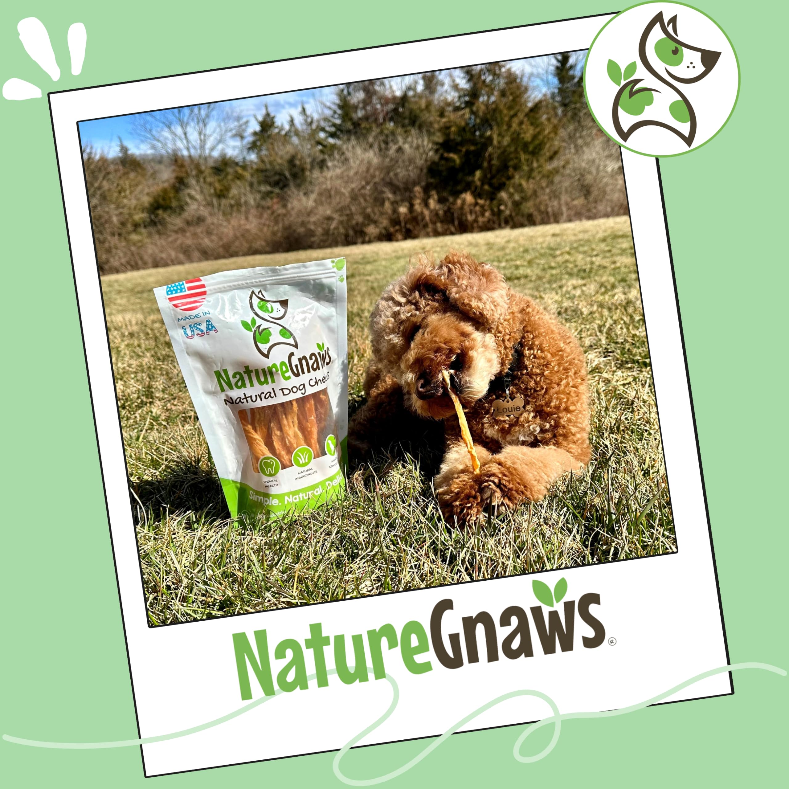 Nature Gnaws tendón junto a un cuenco de agua, uso seguro y apoyo dental