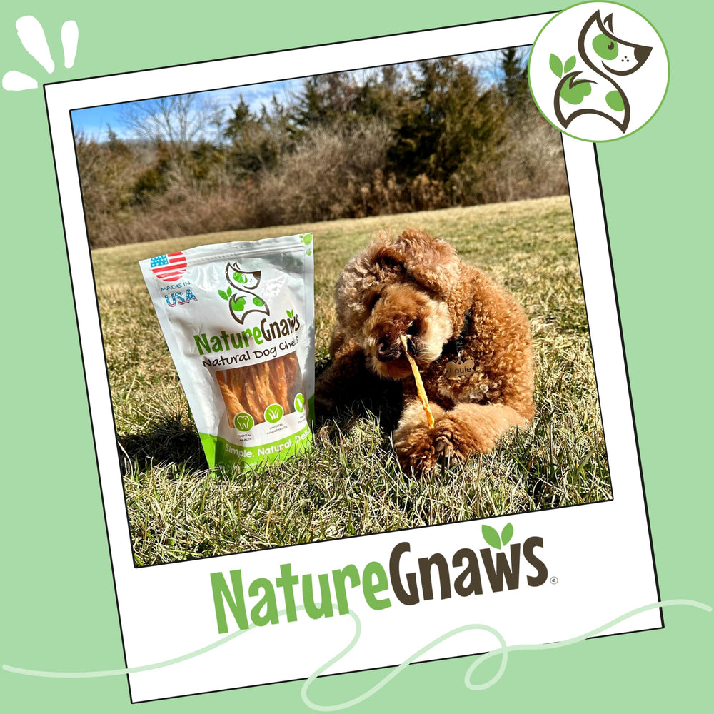 Nature Gnaws tendón junto a un cuenco de agua, uso seguro y apoyo dental