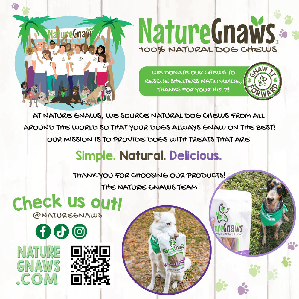 Nature Gnaws producto en ambiente doméstico, compatibilidad familiar