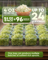 Nature Jim's Sprout brotes en frasco listos para consumir y fáciles de cultivar