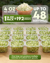 Nature Jim's Sprouts brotes en frasco, ejemplo práctico de germinación casera