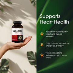Ingredientes clave NatureBell: representación de omega‑3 y CoQ10 para apoyo antioxidante
