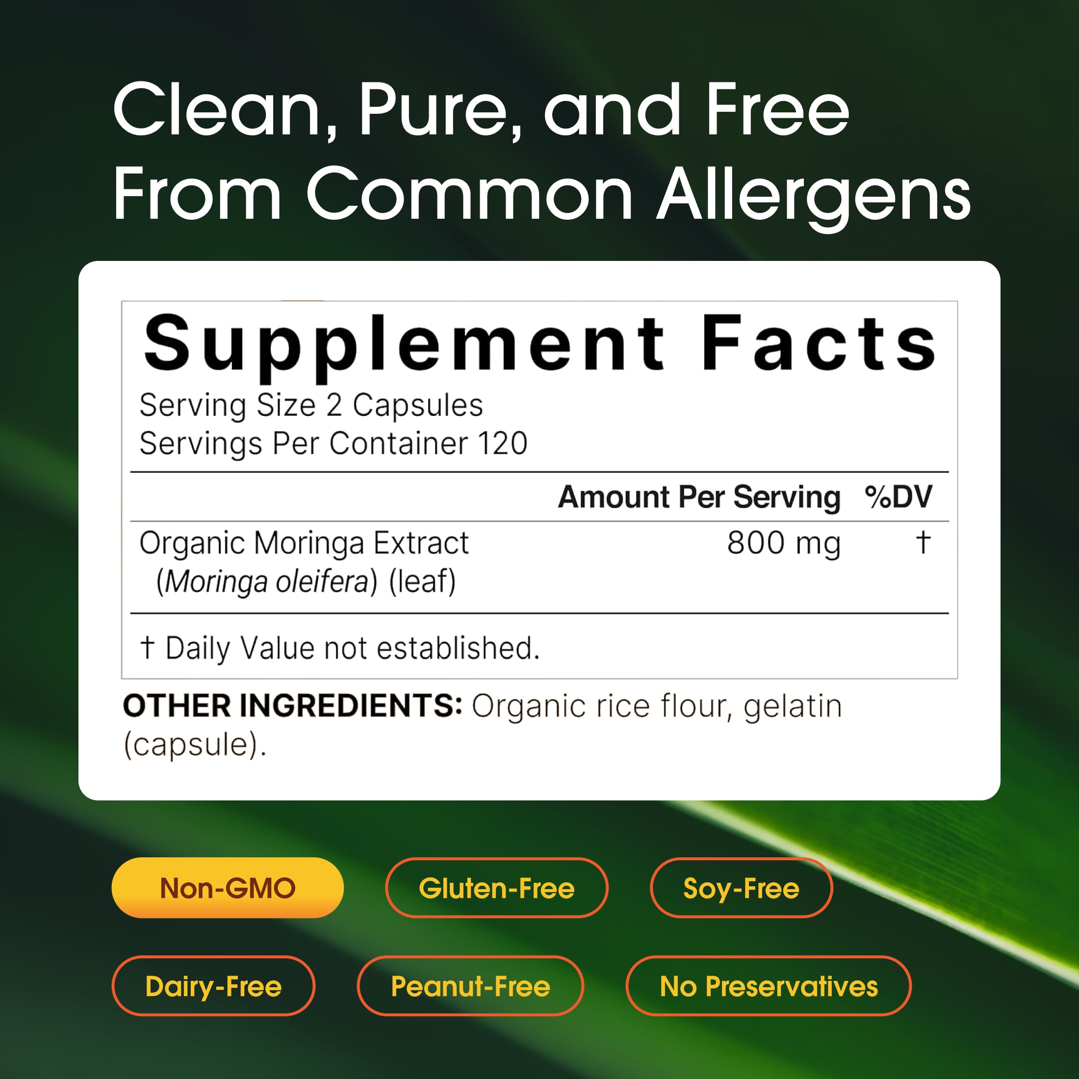 NatureBell moringa powder texture showing natural green nutrients