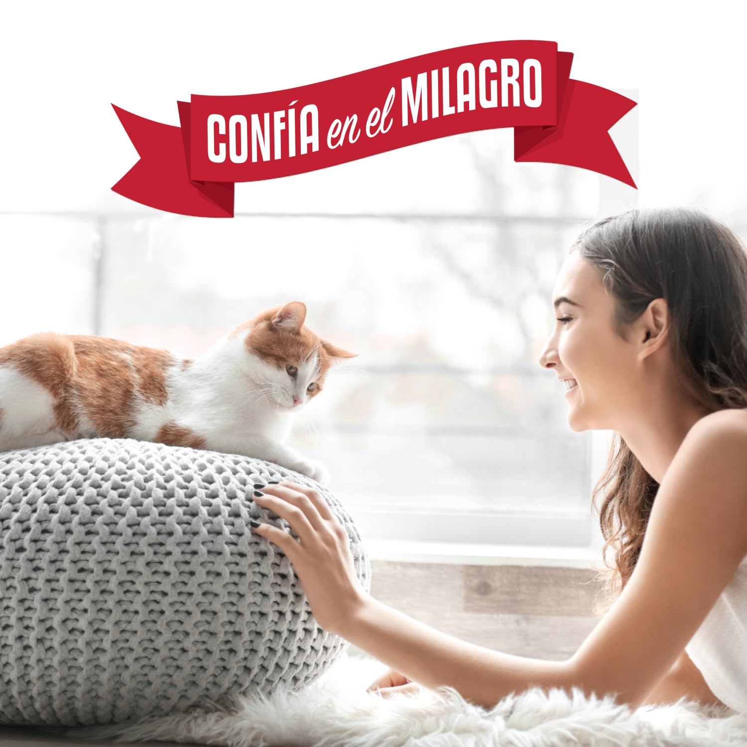 Nature's Miracle en cocina junto a un gato sano y ambiente doméstico seguro