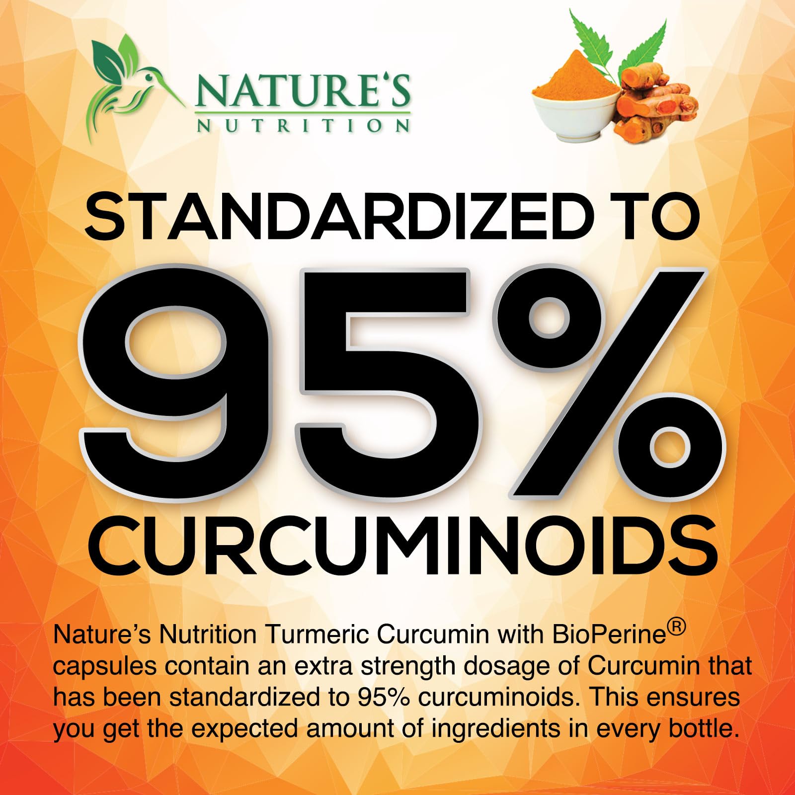 Nature's Nutrition ingredient label closeup showing curcuminoid and Bioperine details