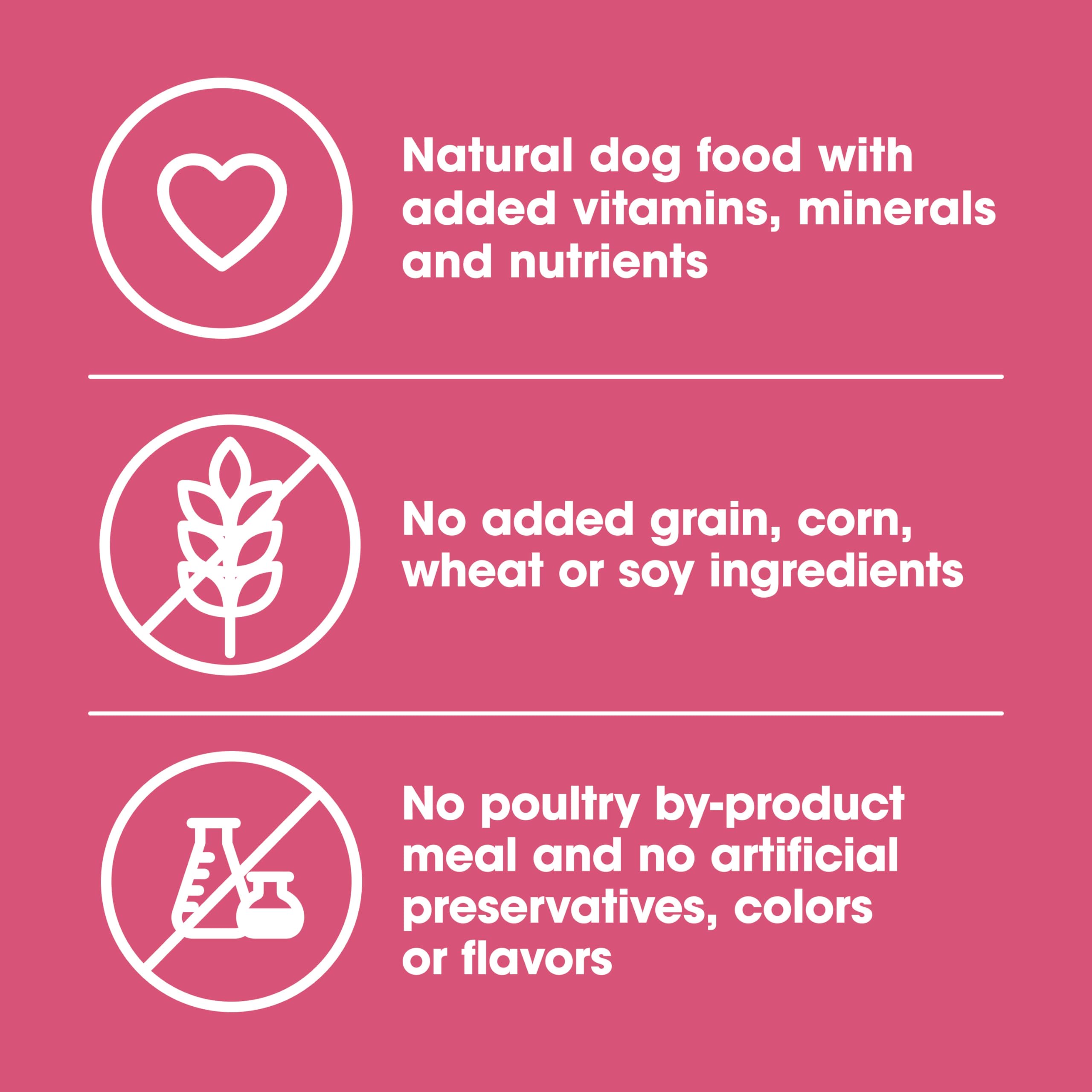Nature's Recipe croqueta en primer plano para comparar tamaño y facilidad de masticar