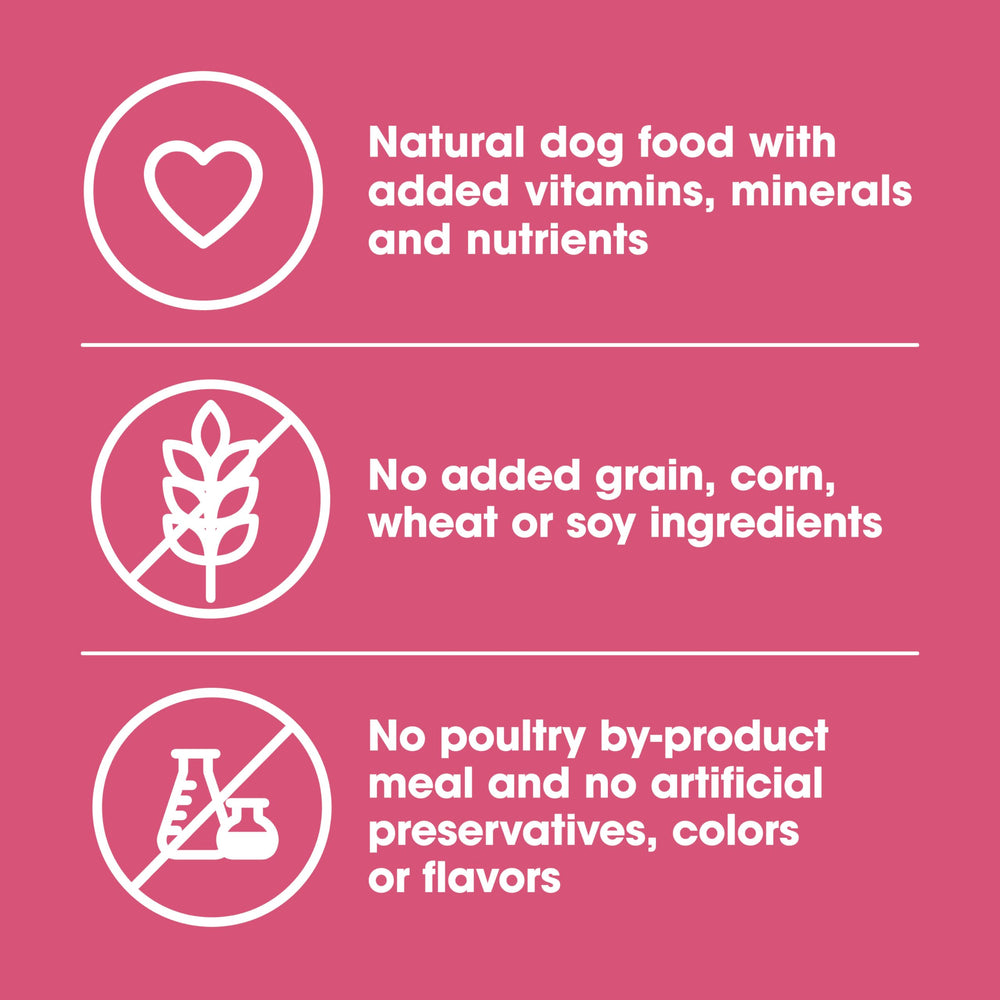 Nature's Recipe croqueta en primer plano para comparar tamaño y facilidad de masticar