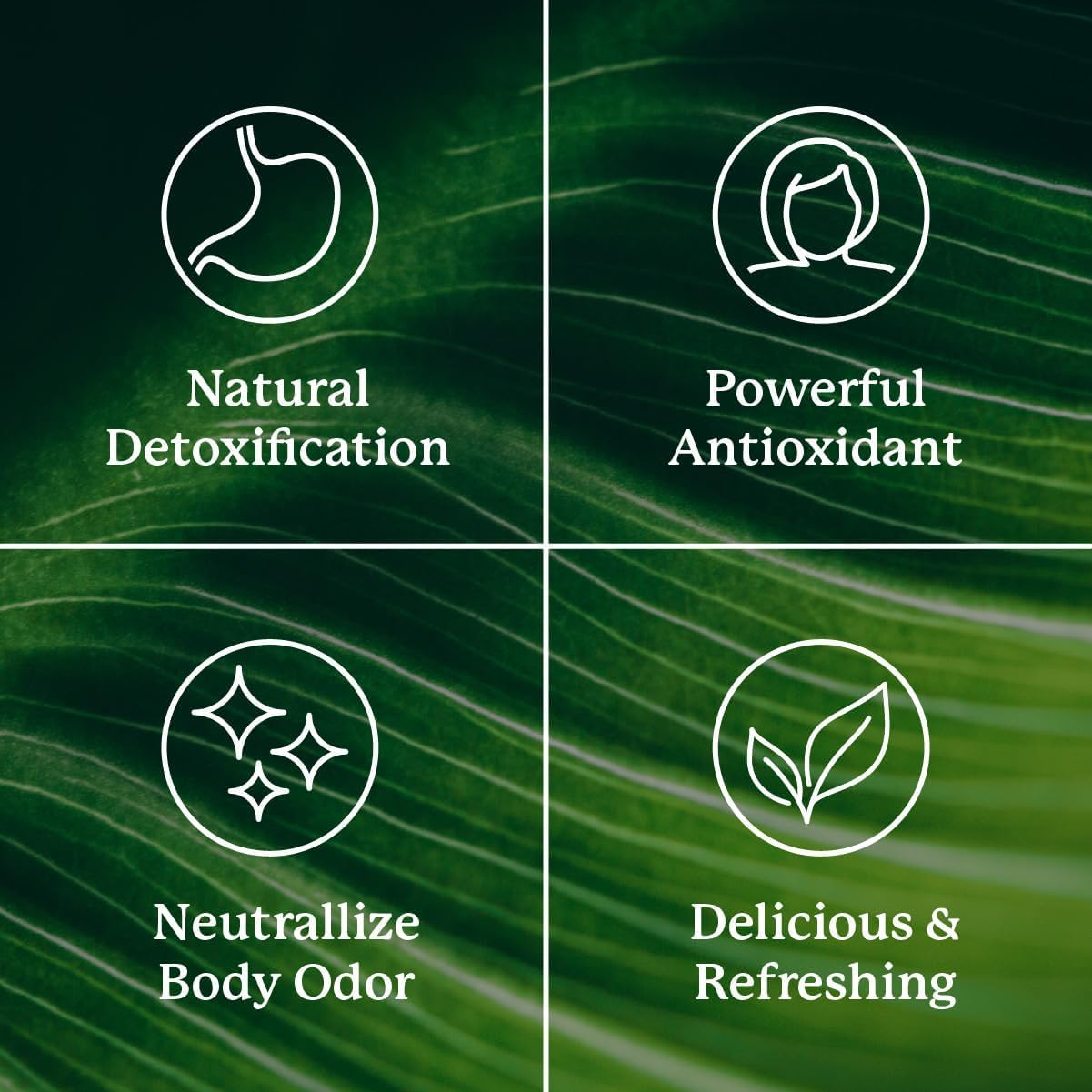 Nature's Sunshine ingredientes naturales representados para apoyo digestivo