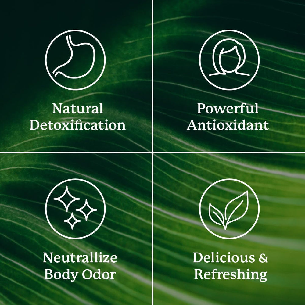 Nature's Sunshine ingredientes naturales representados para apoyo digestivo
