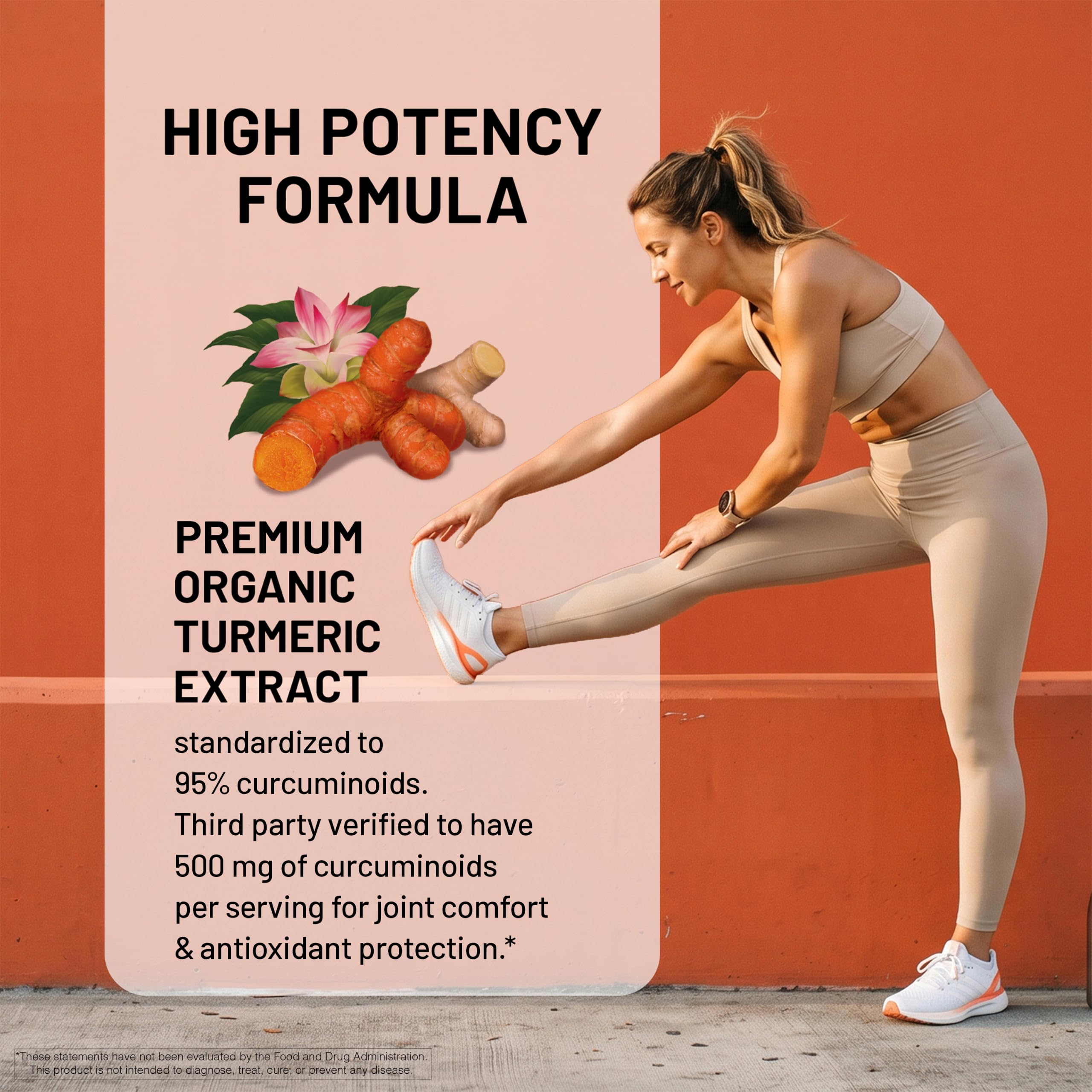 NatureWise supplement facts label showing curcuminoid potency per serving
