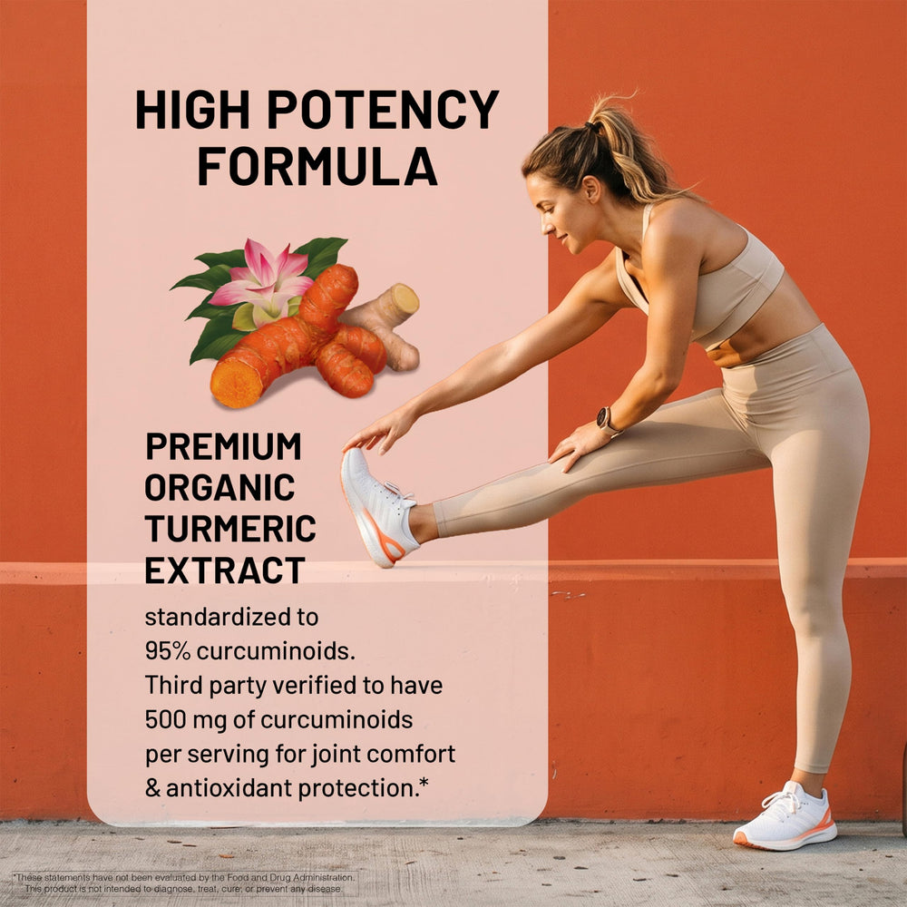 NatureWise supplement facts label showing curcuminoid potency per serving