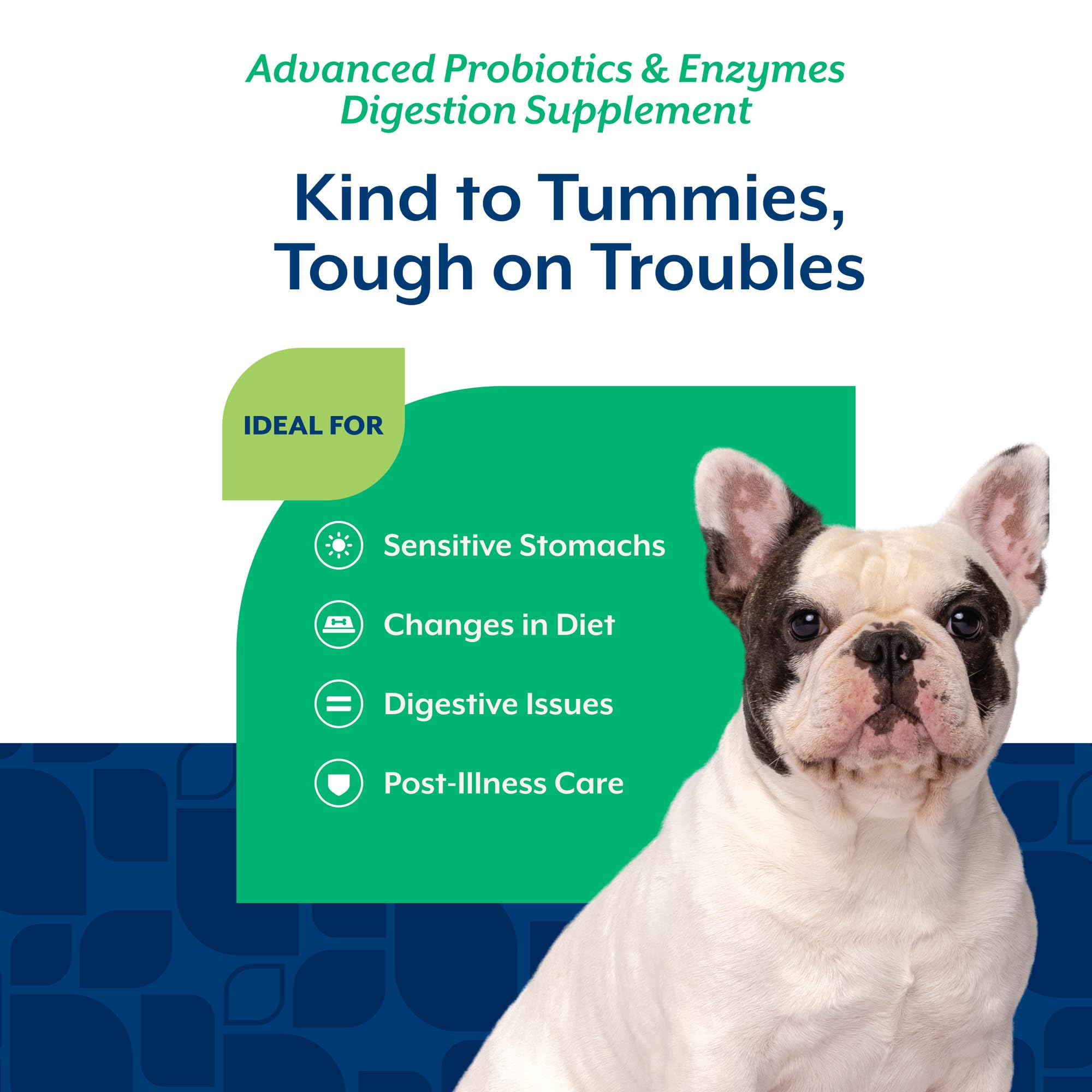 NaturVet etiqueta con ingredientes clave y transparencia informativa