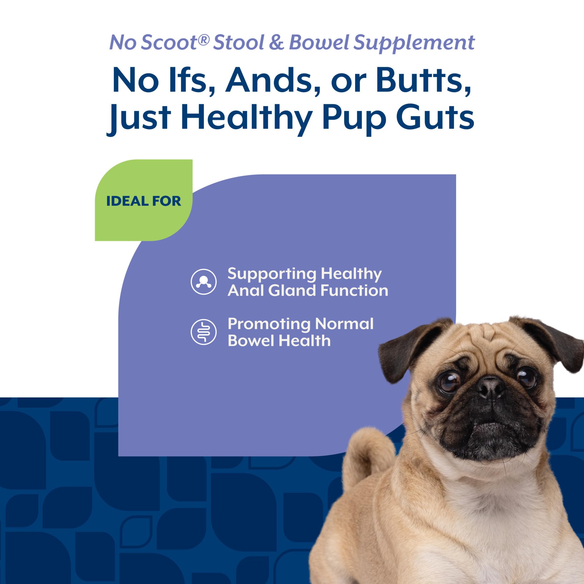 NaturVet perro recibiendo masticable, apoyo digestivo y conveniencia